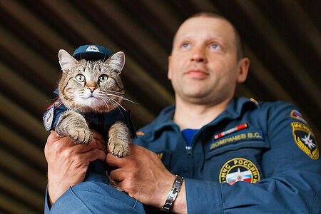 09.04.2022. Виталий Домрачев (начальник караула 135 ПСЧ) с котом Семёном в гараже боевых машин 135 ПСЧ. Поселок Боровский, Тюменский район. (Автор фото Наталья Горшкова)