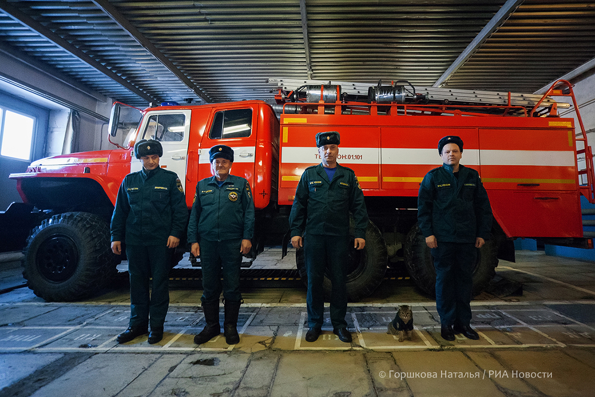 22.01.2022. Кот Семён  принимает участие в построении караула 135 ПСЧ. Кот сам приходит на построение караула и занимает определенный квадрат. 135 ПСЧ. Поселок Боровский, Тюменский район.(Автор фото Наталья Горшкова)