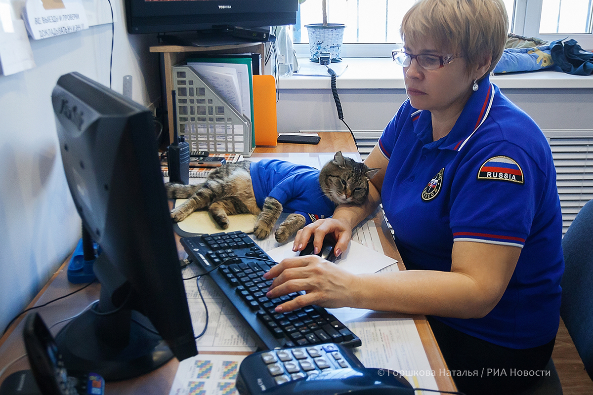 22.01.2022. Диспетчер 135 ПСЧ Лариса Исламова и кот Семён на пункте связи части. 135 ПСЧ. Поселок Боровский, Тюменский район. (Автор фото Наталья Горшкова)