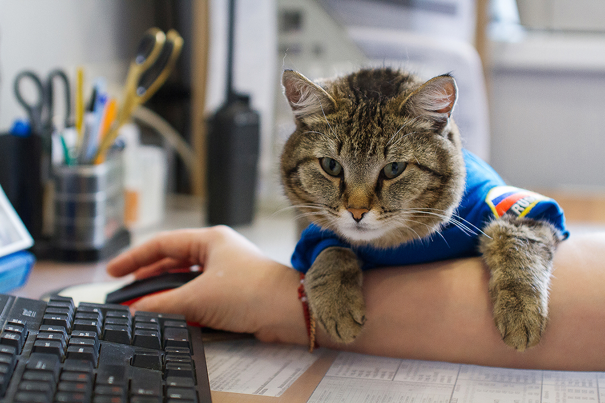 09.04.2022. Диспетчер 135 ПСЧ Ольга Зиновьева и кот Семён на пункте связи части. Ольга сшила для кота форму сотрудника. У кота уже есть небольшой гардероб штатской и гражданской одежды. 135 ПСЧ. Поселок Боровский, Тюменский район. (Автор фото Наталья Горшкова)