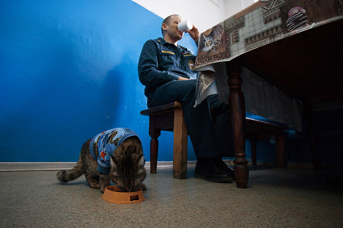 09.04.2022. Виталий Домрачев (начальник караула 135 ПСЧ) с котом Семёном в комнате приема пищи 135 ПСЧ. Поселок Боровский, Тюменский район. (Автор фото Наталья Горшкова)